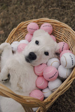 Load image into Gallery viewer, Set of 3 "It's So Fetch." Tennis Balls