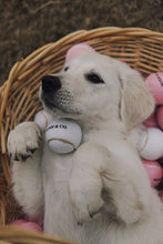 Load image into Gallery viewer, Set of 3 "It's So Fetch." Tennis Balls