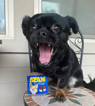 Load image into Gallery viewer, Classic Spam