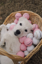 Load image into Gallery viewer, Set of 3 &quot;It&#39;s So Fetch.&quot; Tennis Balls
